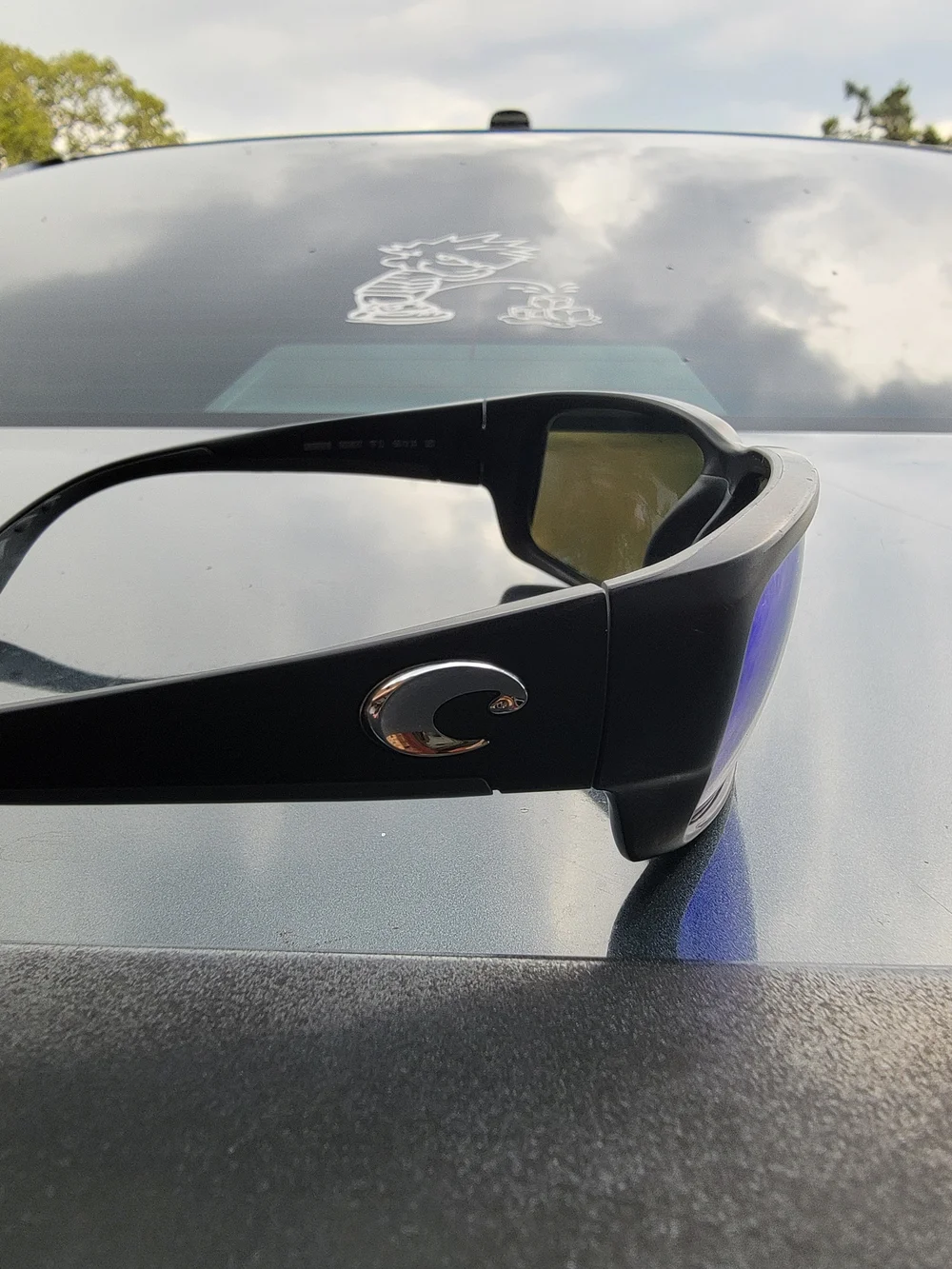 Costa Sunglasses